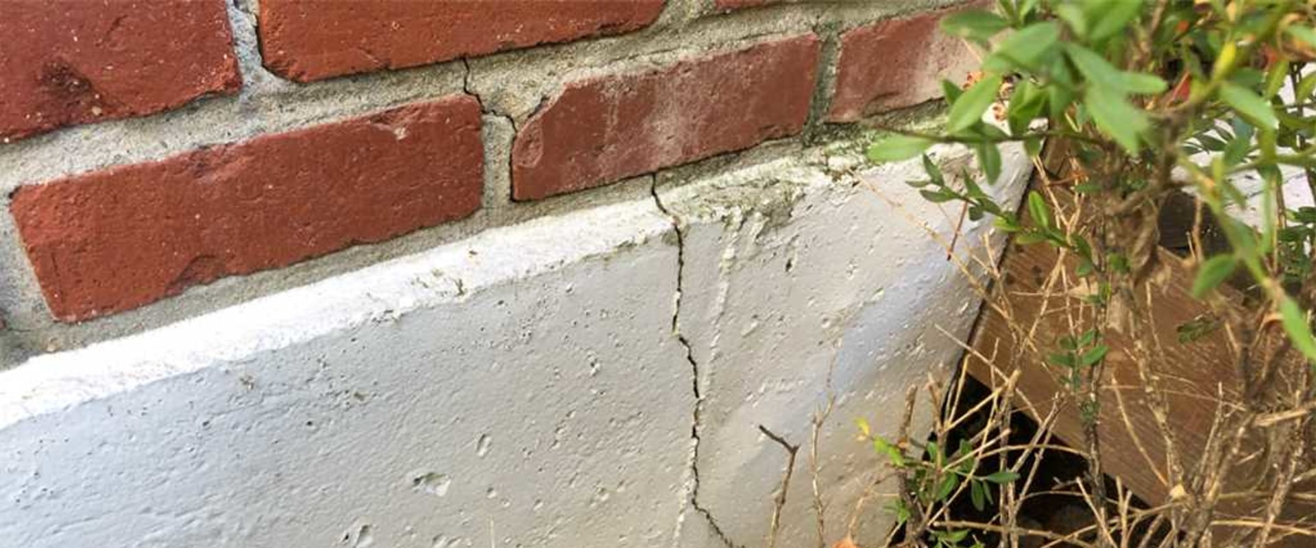 Can removing a tree cause foundation problems?