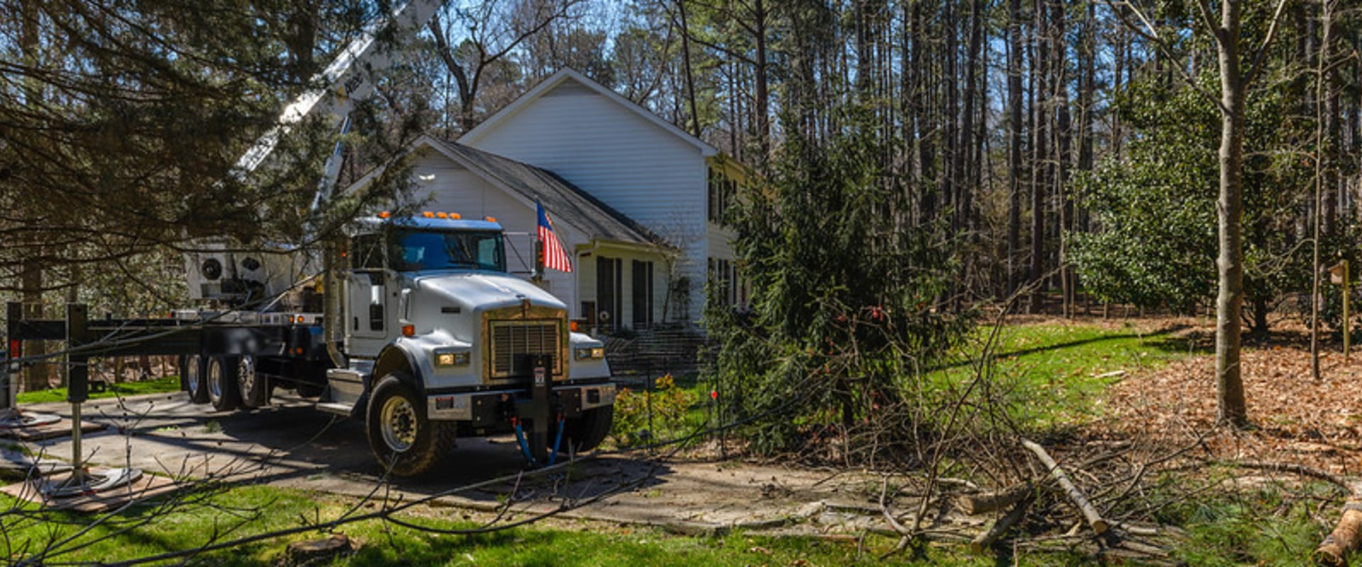 Can A Forklift Mechanic Repair A Crane's Diesel Engine If It Fails During A Tree Removal?