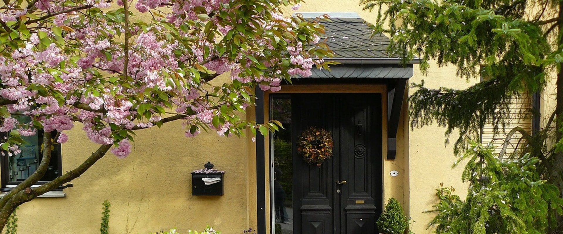 How close is too close to plant a tree next to a house?