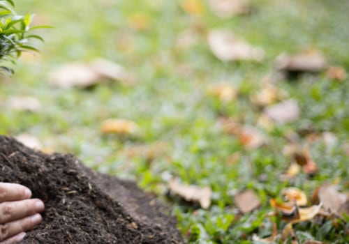 How far should a tree be away from house?