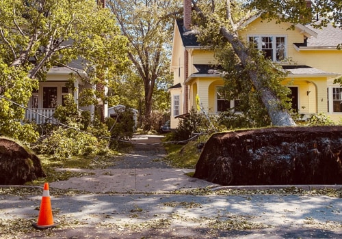 Can trees break a house?