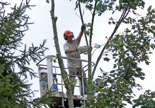 A Tree Removal Service In Southern Gateway Using A Crane