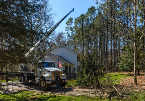 Can A Forklift Mechanic Repair A Crane's Diesel Engine If It Fails During A Tree Removal?