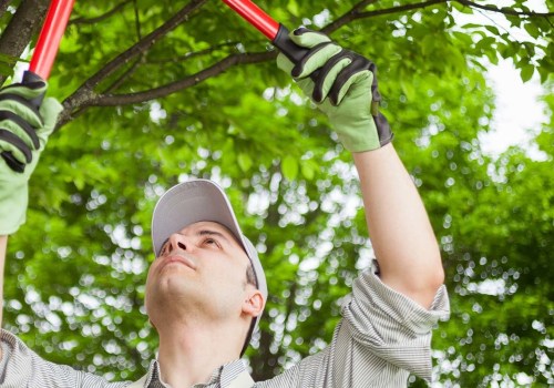 Is tree pruning the same as trimming?