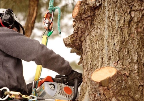 What do you call someone who does tree work?