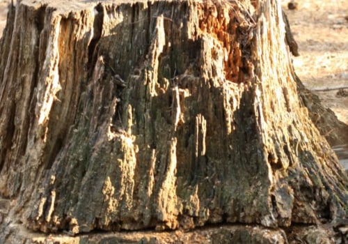 What is the fastest way to remove a tree stump?